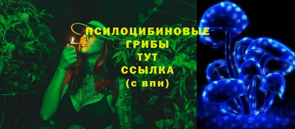 амф Осинники
