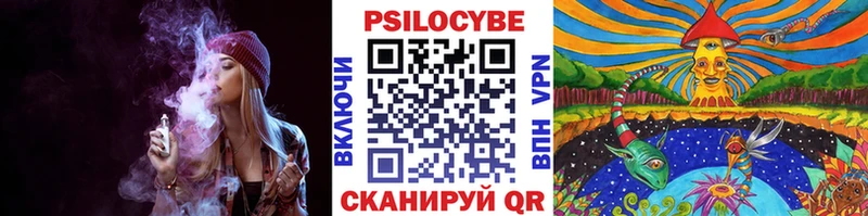 нарко площадка официальный сайт  Хилок  Псилоцибиновые грибы Psilocybine cubensis 
